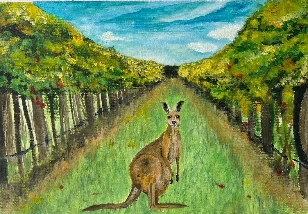 Kangaroo on the Winery